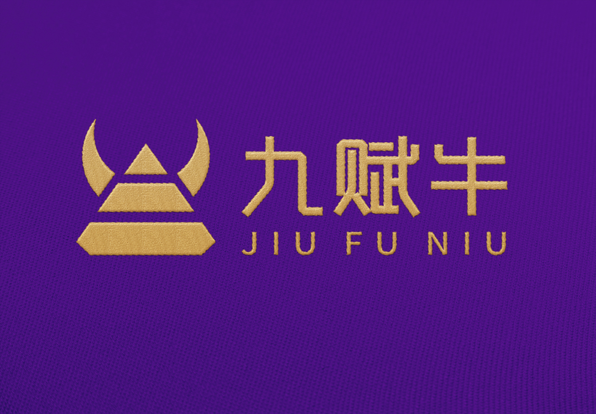 南寧教育投資機(jī)構(gòu)“九賦?！?品牌logo設(shè)計(jì)